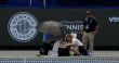WTA - Memphis Alexandrova avertie avant son malaise... la scène qui interroge