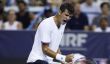 ATP - Washington Rafael Jodar a rejoint Taylor Fritz en finale à Washington