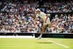 Wimbledon Jannik Sinner s’est inspiré... d'un (très) grand serveur américain
