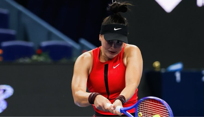 https://www.tennisactu.net/photo/news/images/ANDREESCU%20Bianca/Andreescu%20instagram.png